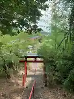 天満神社の鳥居