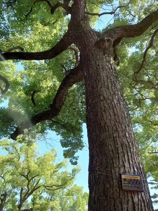 長草天神社の自然