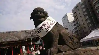 浅草神社の狛犬