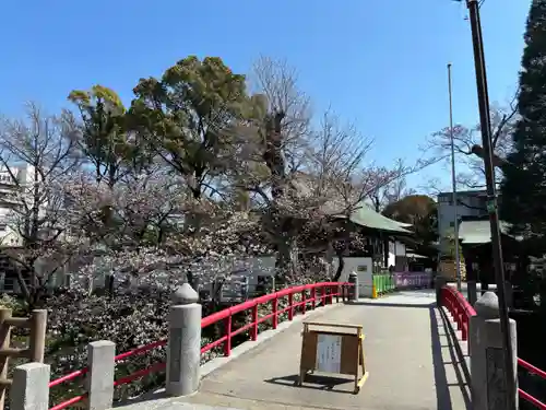 松戸神社(千葉県)