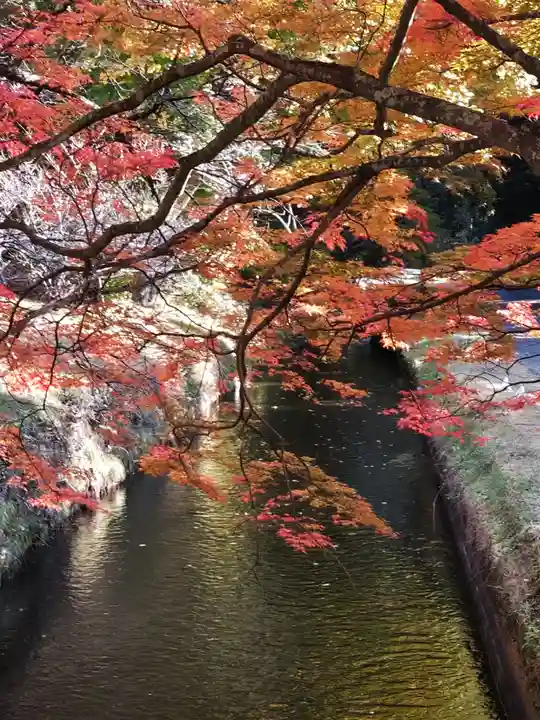 土津神社|こどもと出世の神さま(福島県)