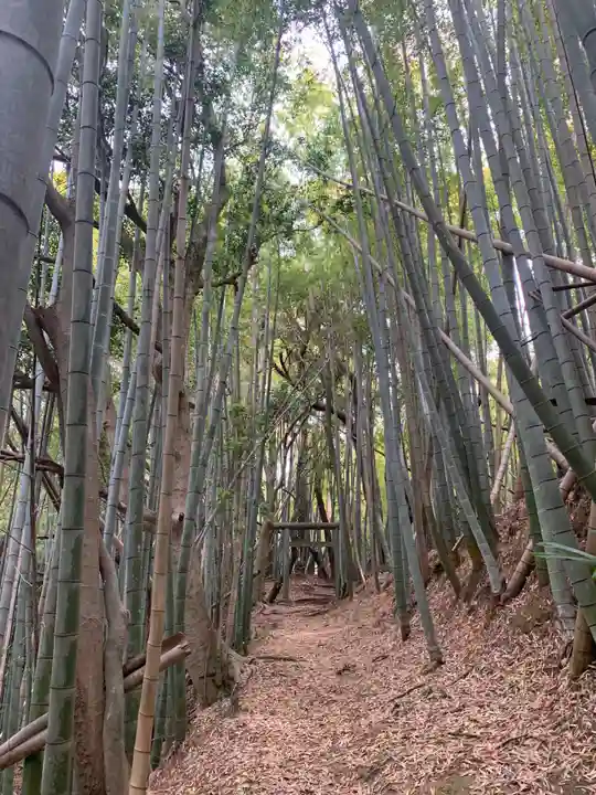星神社(千葉県)