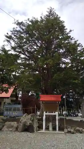 豊栄神社の自然