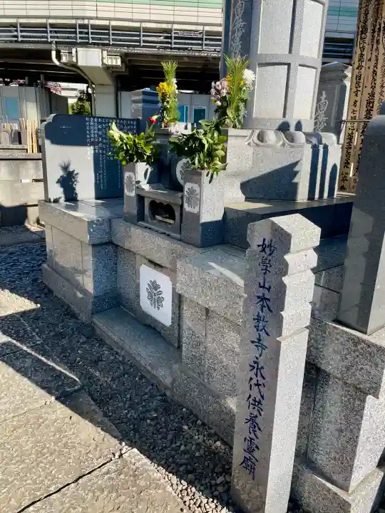 本教寺の{uncategorized: "未分類", other: "その他", undefined: "問題あり", building: "その他建物", grave: "お墓", sacred_gate: "鳥居", guardian: "狛犬", statue: "像", buddha: "仏像", history: "歴史", nature: "自然", garden: "庭園", animal: "動物", pagoda: "塔", temizu: "手水舎", mountain_gate: "山門・神門", sanctuary: "本殿・本堂", subordinate: "末社・摂社", art: "芸術", scenery: "景色", jizo: "地蔵", ema: "絵馬", goshuin: "御朱印", omikuji: "おみくじ", items: "授与品その他", amulet: "お守り", goshuincho: "御朱印帳", eats: "食事", festival: "お祭り", votive_dance: "神楽", shichigosan: "七五三参", wedding: "結婚式", experience: "体験その他", initially: "初詣", around: "周辺", anti_infection: "感染症対策"}
