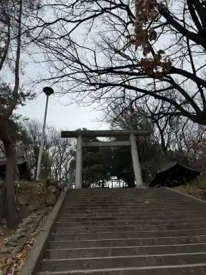 高山神社の{uncategorized: "未分類", other: "その他", undefined: "問題あり", building: "その他建物", grave: "お墓", sacred_gate: "鳥居", guardian: "狛犬", statue: "像", buddha: "仏像", history: "歴史", nature: "自然", garden: "庭園", animal: "動物", pagoda: "塔", temizu: "手水舎", mountain_gate: "山門・神門", sanctuary: "本殿・本堂", subordinate: "末社・摂社", art: "芸術", scenery: "景色", jizo: "地蔵", ema: "絵馬", goshuin: "御朱印", omikuji: "おみくじ", items: "授与品その他", amulet: "お守り", goshuincho: "御朱印帳", eats: "食事", festival: "お祭り", votive_dance: "神楽", shichigosan: "七五三参", wedding: "結婚式", experience: "体験その他", initially: "初詣", around: "周辺", anti_infection: "感染症対策"}