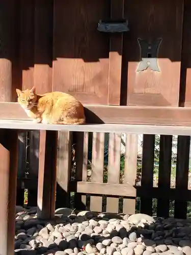 松姤社（熱田神宮摂社）の動物