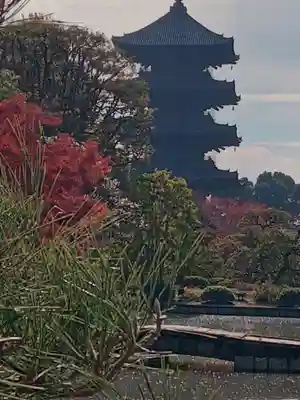 東寺（教王護国寺）(京都府)