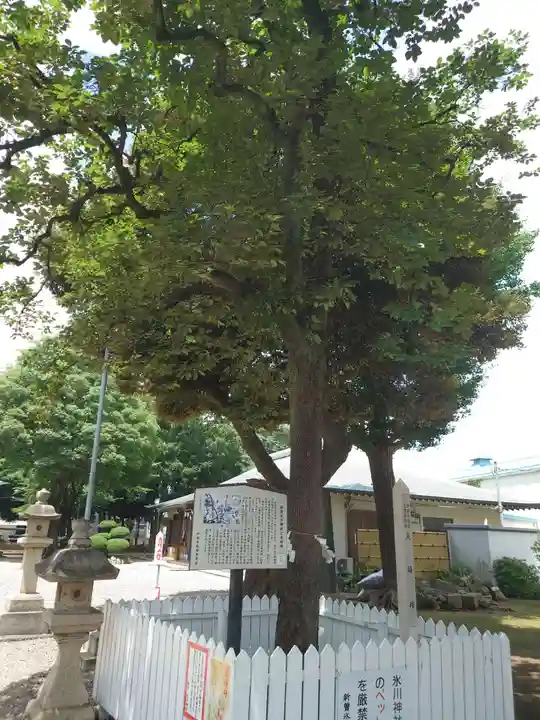 新曽氷川神社の自然
