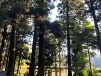 大宮温泉神社(栃木県)