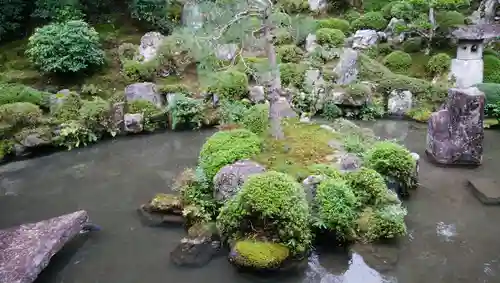 滋賀院門跡の庭園