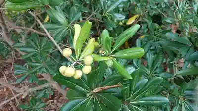 浄国寺(静岡県)
