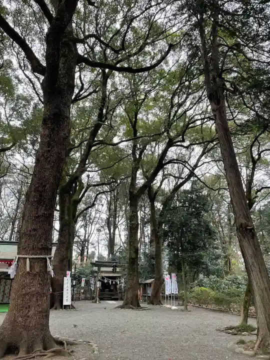 大宮八幡宮の自然