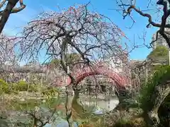 亀戸天神社の庭園