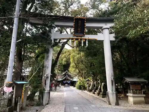 若宮八幡宮(高知県)