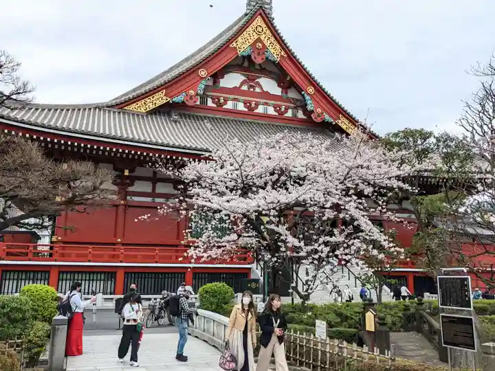 浅草神社の周辺
