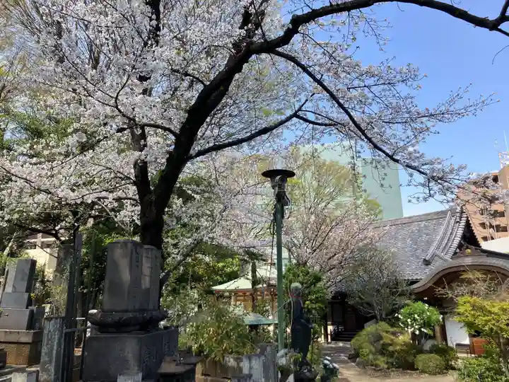 大泉寺(東京都)