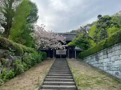 横浜 西方寺の山門・神門