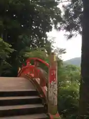 箱根神社の建物その他