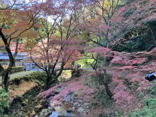 鰐淵寺(島根県)