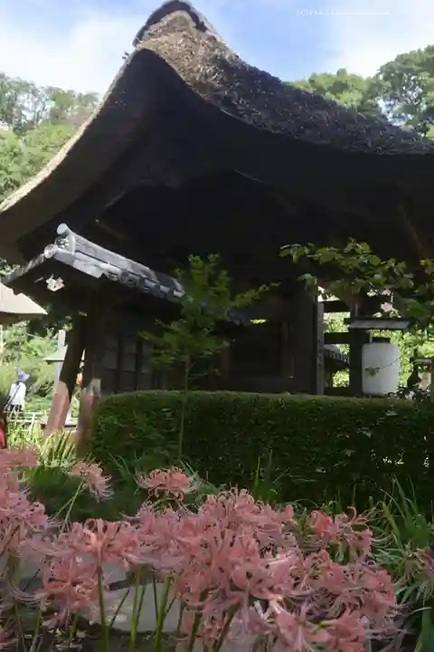 横浜 西方寺(神奈川県)