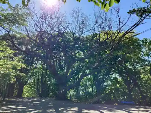 相馬神社(北海道)