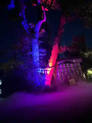 武蔵一宮氷川神社(埼玉県)