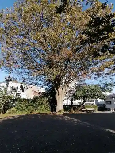 別雷皇太神の自然