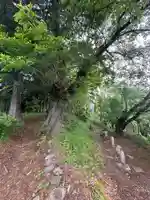古峯神社(山梨県)