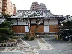 乗願寺の本殿