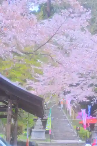 金櫻神社(山梨県)