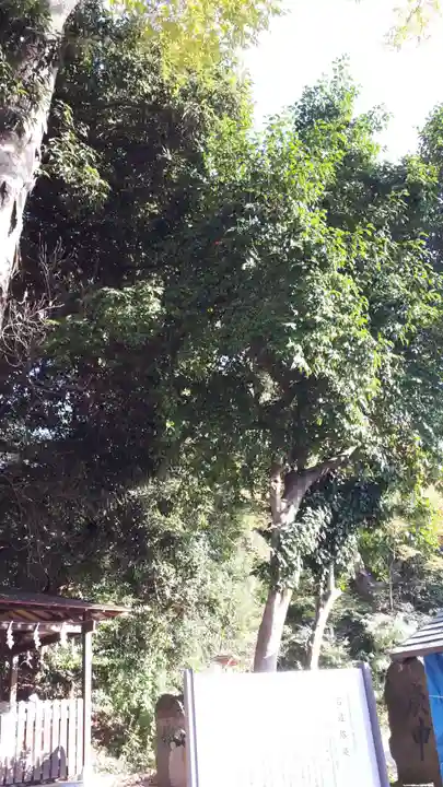 日吉神社(福島県)