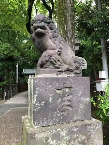 富岡八幡宮の狛犬