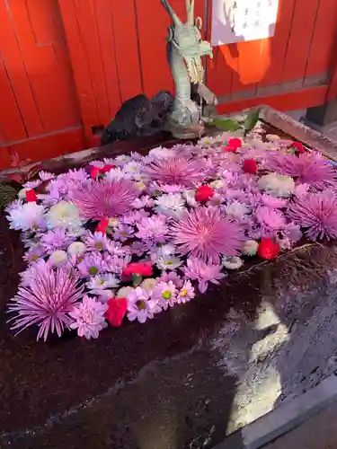 白岡八幡神社の手水