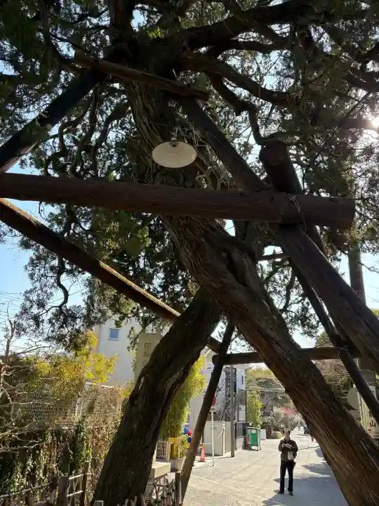 荏柄天神社の{uncategorized: "未分類", other: "その他", undefined: "問題あり", building: "その他建物", grave: "お墓", sacred_gate: "鳥居", guardian: "狛犬", statue: "像", buddha: "仏像", history: "歴史", nature: "自然", garden: "庭園", animal: "動物", pagoda: "塔", temizu: "手水舎", mountain_gate: "山門・神門", sanctuary: "本殿・本堂", subordinate: "末社・摂社", art: "芸術", scenery: "景色", jizo: "地蔵", ema: "絵馬", goshuin: "御朱印", omikuji: "おみくじ", items: "授与品その他", amulet: "お守り", goshuincho: "御朱印帳", eats: "食事", festival: "お祭り", votive_dance: "神楽", shichigosan: "七五三参", wedding: "結婚式", experience: "体験その他", initially: "初詣", around: "周辺", anti_infection: "感染症対策"}