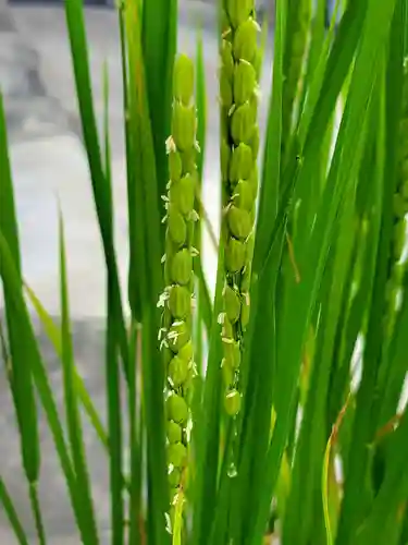 大鏑神社(福島県)
