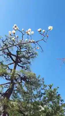 蓮華王院（三十三間堂）(京都府)