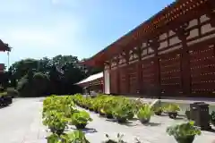 薬師寺の建物その他