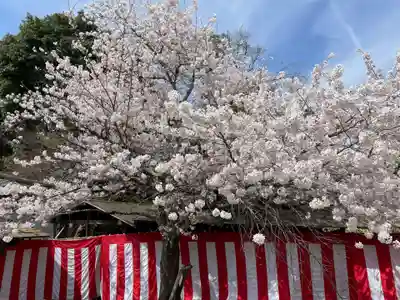 醍醐寺(京都府)