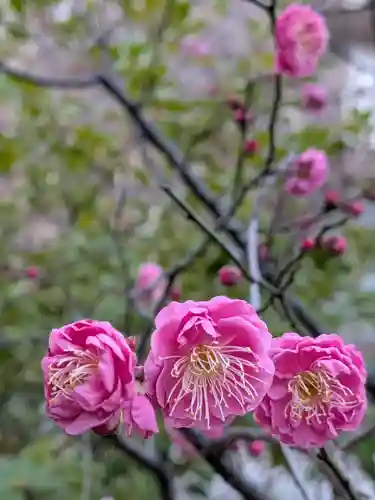 成子天神社(東京都)