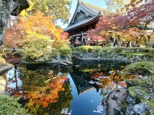 真正極楽寺（真如堂）(京都府)