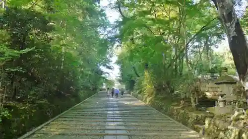 光明寺（粟生光明寺）の建物その他