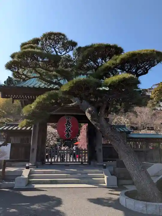 長谷寺(神奈川県)