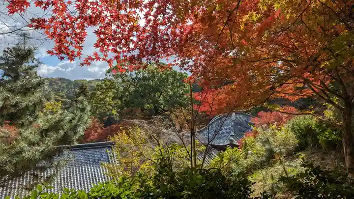 十輪寺(京都府)