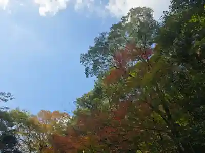 大本山七宝瀧寺(大阪府)