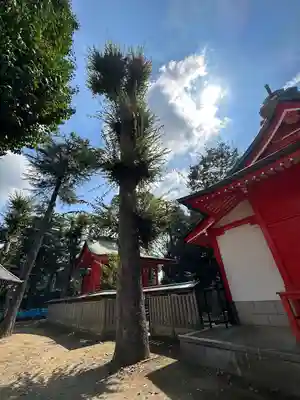 小野神社(東京都)