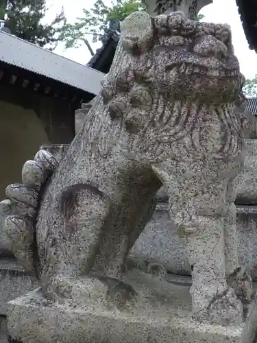 下御霊神社の狛犬