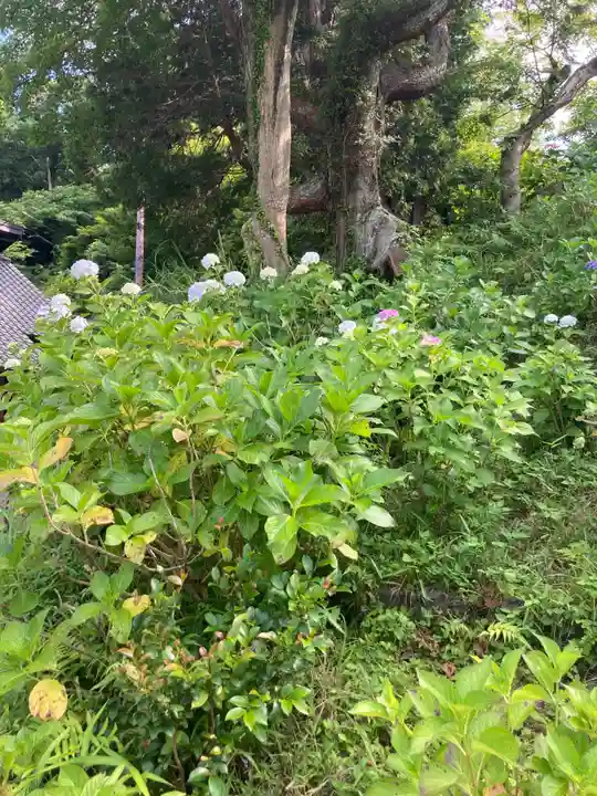 東慶寺(神奈川県)