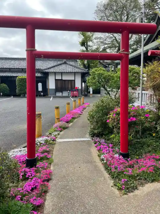 本宿天神社の{uncategorized: "未分類", other: "その他", undefined: "問題あり", building: "その他建物", grave: "お墓", sacred_gate: "鳥居", guardian: "狛犬", statue: "像", buddha: "仏像", history: "歴史", nature: "自然", garden: "庭園", animal: "動物", pagoda: "塔", temizu: "手水舎", mountain_gate: "山門・神門", sanctuary: "本殿・本堂", subordinate: "末社・摂社", art: "芸術", scenery: "景色", jizo: "地蔵", ema: "絵馬", goshuin: "御朱印", omikuji: "おみくじ", items: "授与品その他", amulet: "お守り", goshuincho: "御朱印帳", eats: "食事", festival: "お祭り", votive_dance: "神楽", shichigosan: "七五三参", wedding: "結婚式", experience: "体験その他", initially: "初詣", around: "周辺", anti_infection: "感染症対策"}