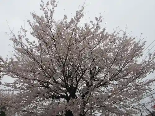 東光寺(神奈川県)