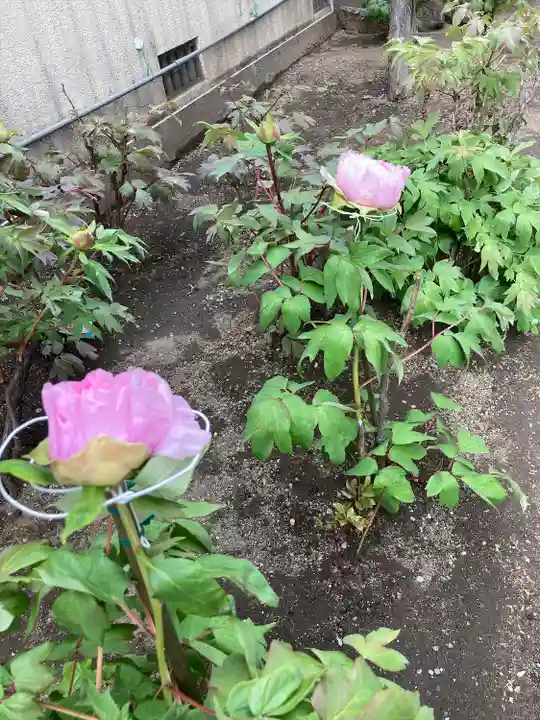 慈眼寺(神奈川県)